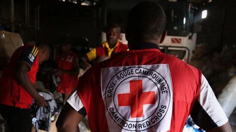 The American Red Cross Success Story
